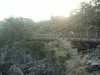 門脇吊橋(7)