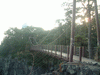 門脇吊橋(13)