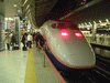 MAXとき341号 新潟行き(2)／東京駅