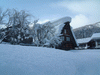 雪の白川郷(11)