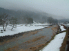 一乗谷の雪景色(3)