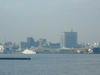 マリーンルージュからの眺め(17)／ロイヤルウイングと横浜税関、大さん橋国際客船ターミナル