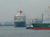Queen Mary 2(66)