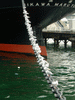 氷川丸の錨に並ぶカモメ(3)