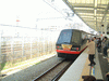 伊豆急行 黒船電車の通過(3)／武蔵小杉駅