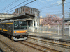 川崎行きの電車と桜の木(1)／宿河原駅
