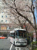 駒込駅の桜の木と北区コミュニティバス(1)