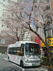 駒込駅の桜の木と北区コミュニティバス(2)
