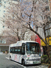 駒込駅の桜の木と北区コミュニティバス(3)