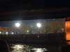 夜桜観光船からの眺め(17)／隅田公園の桜