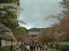 醍醐寺の桜(46)／下醍醐への参道