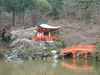 醍醐寺の桜(64)／女人堂と弁天池
