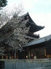 南禅寺(2)／桜と共に