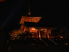 清水寺のライトアップ(7)
