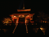 清水寺のライトアップ(11)
