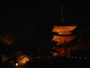 清水寺のライトアップ(14)
