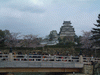 姫路城(2)／桜と共に