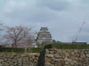 姫路城(5)／桜と共に