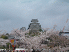 姫路城(7)／桜と共に
