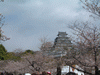 姫路城(11)／桜と共に