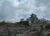 姫路城(29)／桜と共に