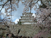 姫路城(40)／桜と共に