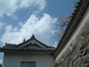 姫路城(55)／桜と共に