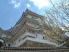 姫路城(59)／桜と共に