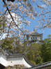姫路城(78)／桜と共に
