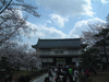 姫路城(81)