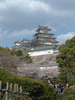 姫路城(86)／桜と共に