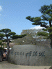 姫路城(90)／桜と共に