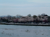 嵐山の桜(1)／渡月橋より