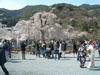嵐山の桜(24)／嵐山公園