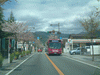 武田神社へ向かう道の桜(2)