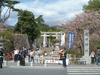 武田神社(3)