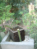 武田神社(44)