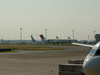 羽田で飛行機を眺める(1)／JAL機