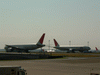 羽田で飛行機を眺める(2)／JAL機