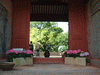興福寺(2)