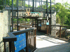 旭山動物園(56)／エゾシカの森