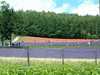 駐車場待ちの途中で見えた風景(8)／ファーム富田・ラベンダー畑