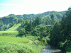 里山の風景(1)