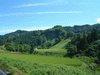 里山の風景(2)