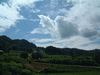 里山の風景(3)