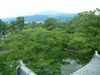 高田公園(12)／高田城三重櫓からの眺め