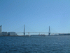 海芝公園からの眺め(2)／鶴見つばさ橋