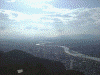 金華山からの眺め(4)：長良川