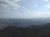 金華山からの眺め(5)