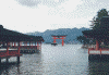 厳島神社(1)